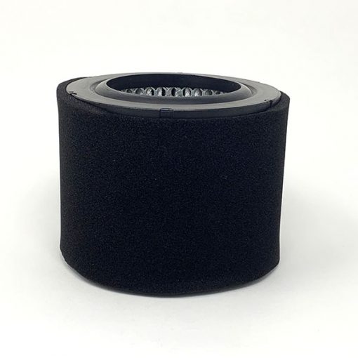 Intake Air Filter Element AP431