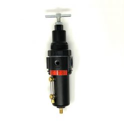 3/8" Combo Reg/Filter WB1360T